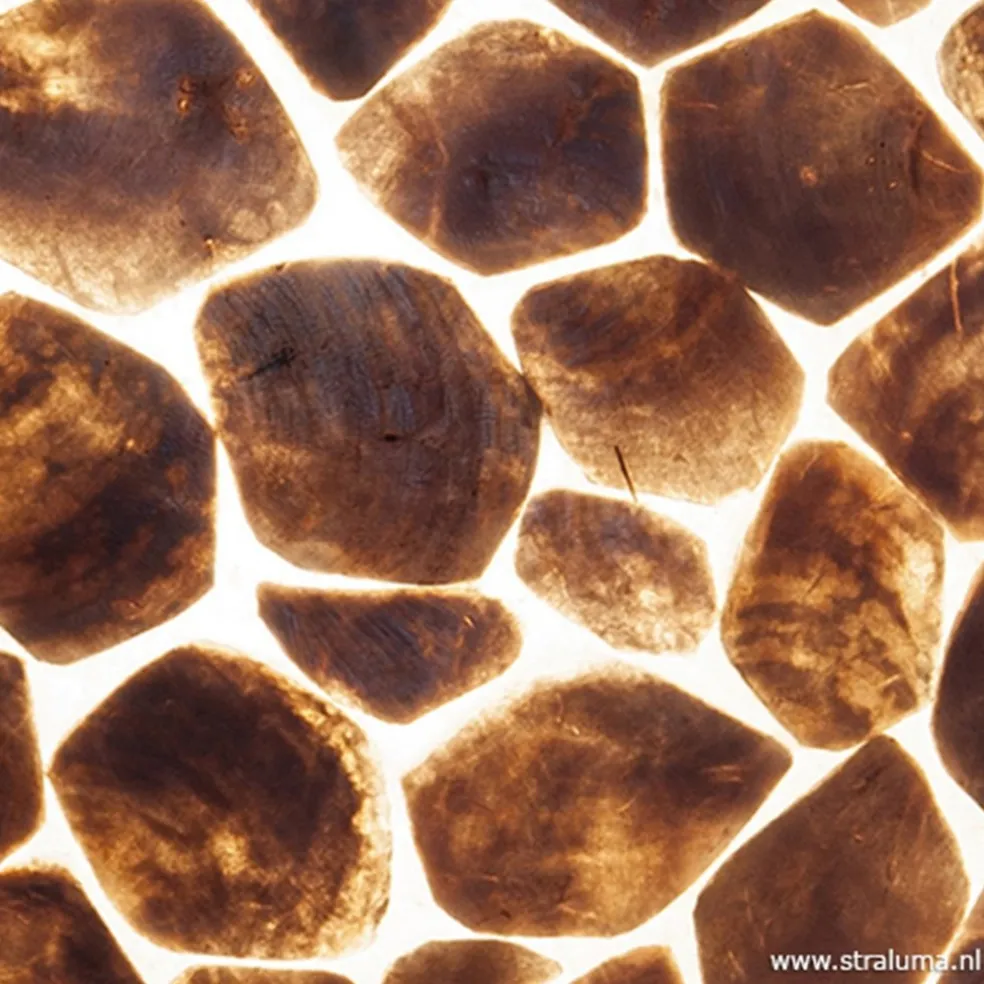 Bruin gouden hanglamp met capiz schelpen