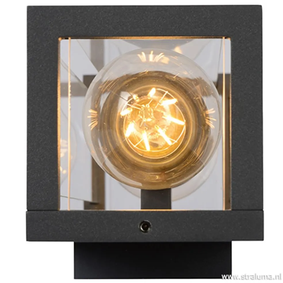 Buitenlamp 2L lantaarn antraciet IP54