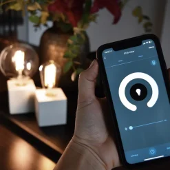 Calex Smart Home E27 LED filament helder Globe G125