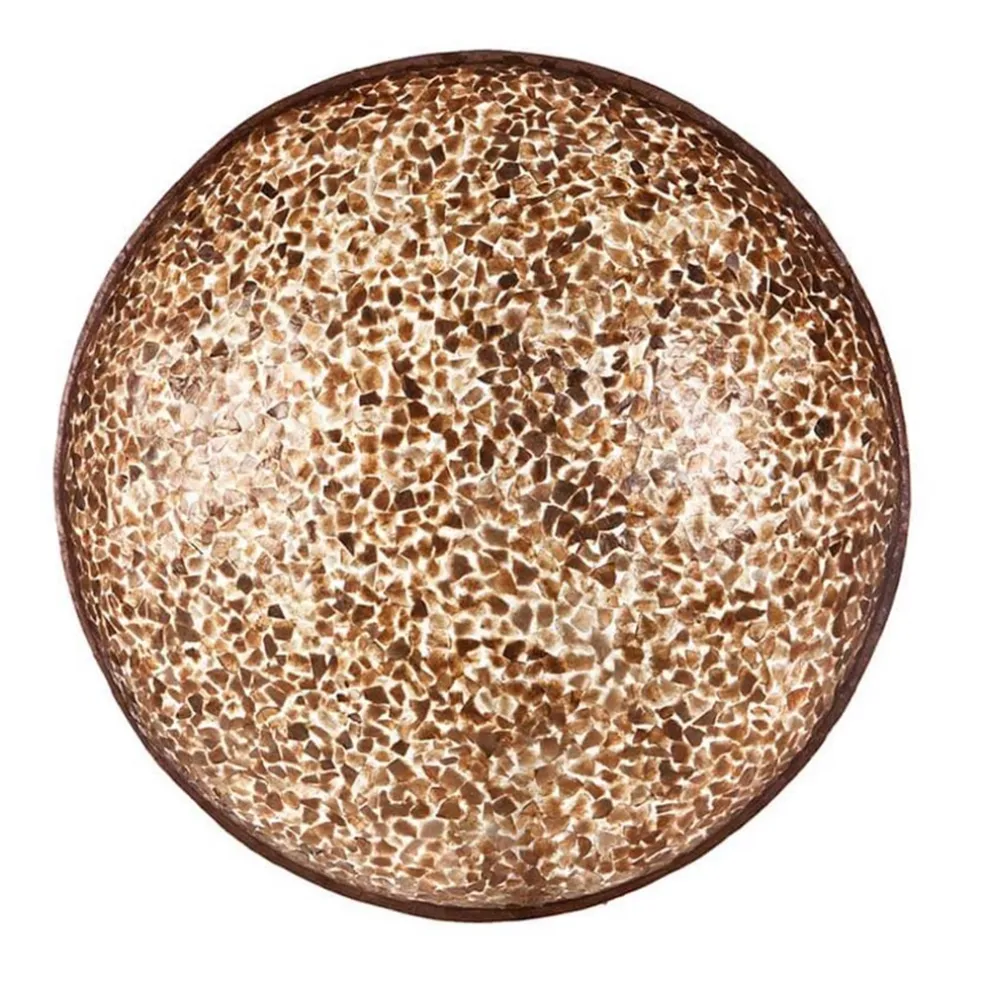 Grote schelpen wandlamp bruin met goud 60 cm