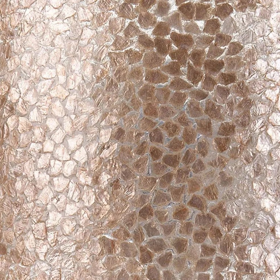 Grote schelpen wandlamp bruin met goud 60 cm