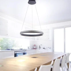 Hanglamp zwart ring 60cm + afst.bed.CCT