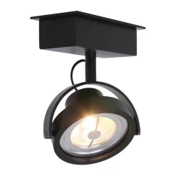 Industriële plafondspot zwart inclusief LED