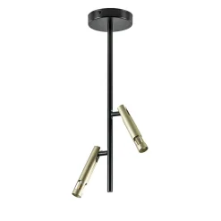 Landelijke plafondlamp zwart met goud G9