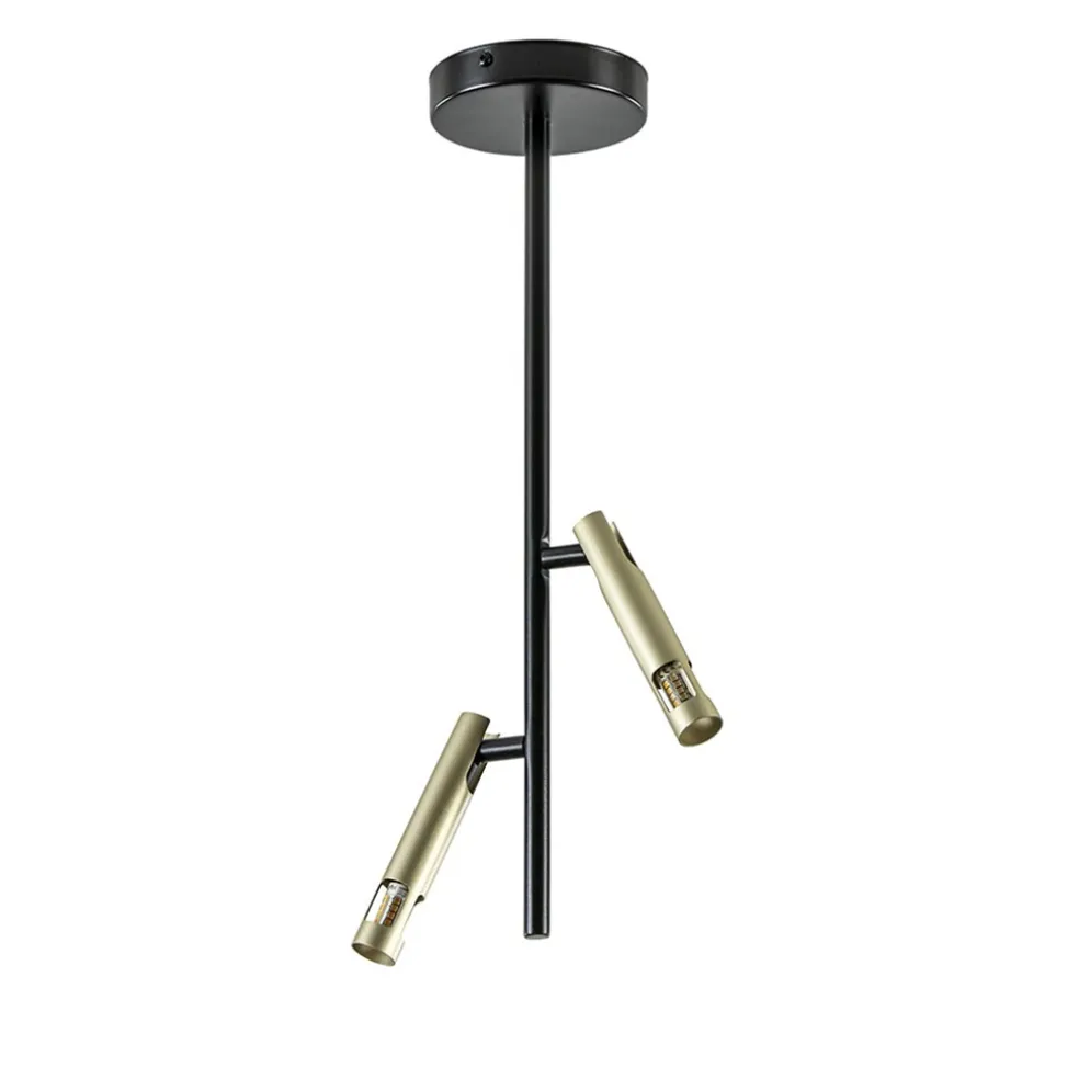 Landelijke plafondlamp zwart met goud G9