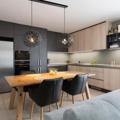 2-Lichts hanglamp Scandinavisch/landelijk mat zwart