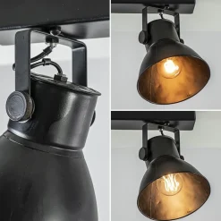2-Lichts metalen plafondlamp Eliano mat zwart