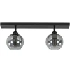 2-Lichts plafondlamp smoke glas met zwart