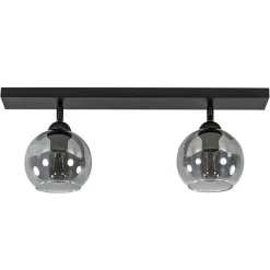 2-Lichts plafondlamp smoke glas met zwart