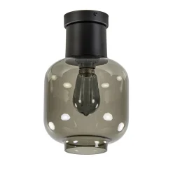 Luxe plafondlamp met zwart glas