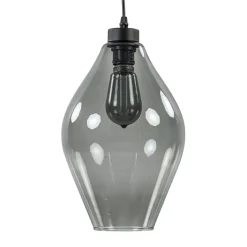 Mat zwarte hanglamp met smoke glas ruit
