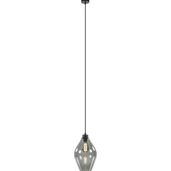 Mat zwarte hanglamp met smoke glas ruit