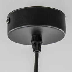 Mat zwarte hanglamp met smoke glas ruit