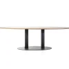 Ovale eetkamertafel eiken naturel 300x120 cm