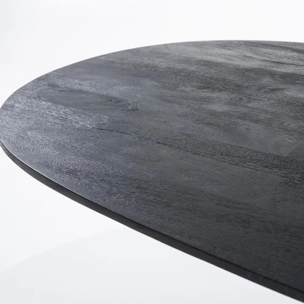 Ovale eettafel Aron 300x110 cm zwart mangohout