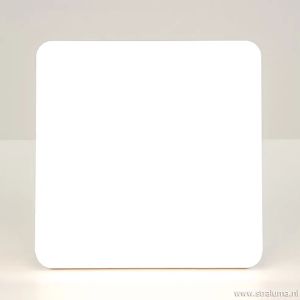 Plafondlamp Basic Square 26cm wit