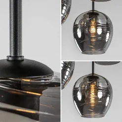 Plafondlamp Fantasy Apple 3L zwart/smoke