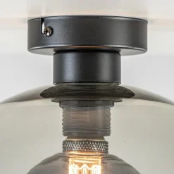 Plafondlamp globe smoke glas 30cm