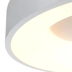 Plafondlamp Ringlede 30cm rvs led