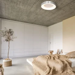 Plafondlamp Ringlede 30cm rvs led