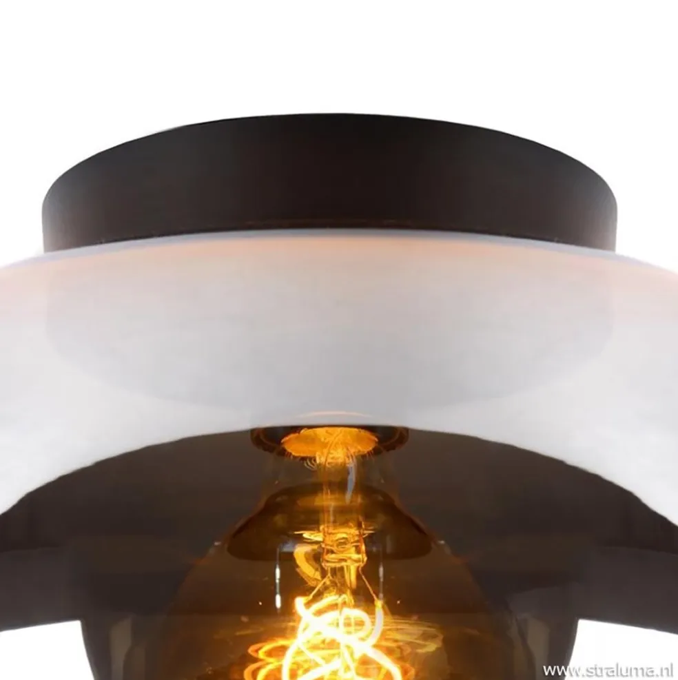 Plafondlamp zwart met smoke glas