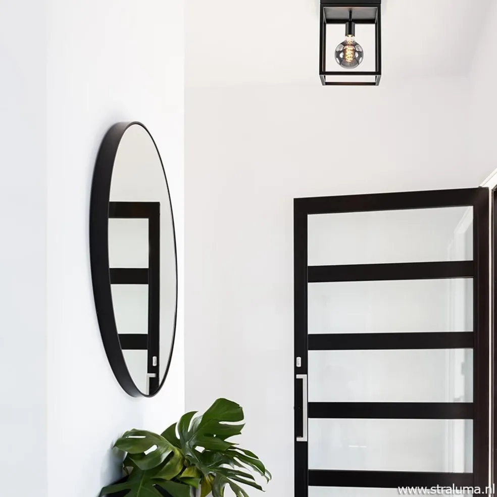 Plafondlamp zwart open frame