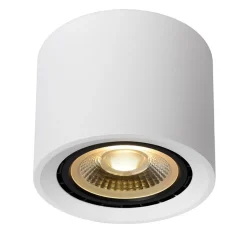 Plafondspot cilinder wit dim to warm