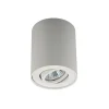 *Plafondspot cilinder wit verstelbaar