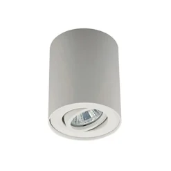 *Plafondspot cilinder wit verstelbaar