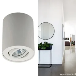 *Plafondspot cilinder wit verstelbaar