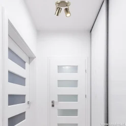 Plafondspot Halo 2L rond rvs