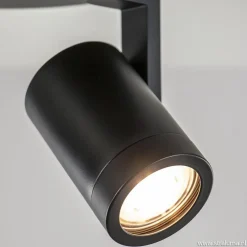 Plafondspot Halo Spot 2L rond zwart