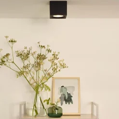 Plafondspot kubus zwart gu10-111 dtw