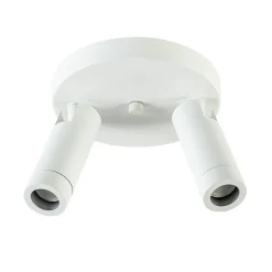 Plafondspot Miller 2l wit/goud pucc