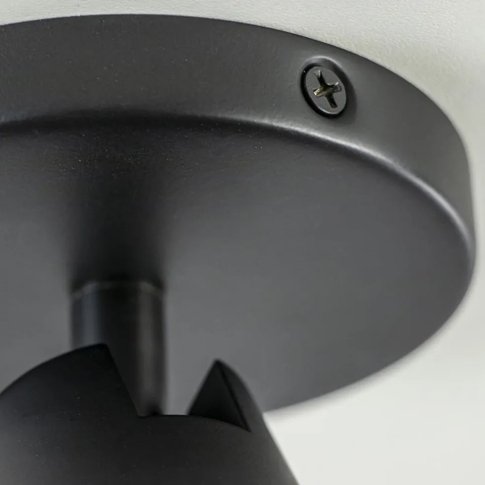 Plafondspot Petunia enkel zwart/goud