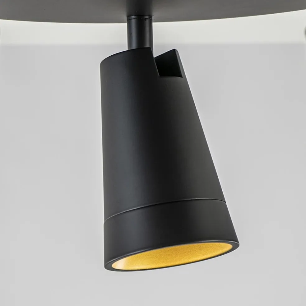 Plafondspot Petunia 3L rond zwart/goud