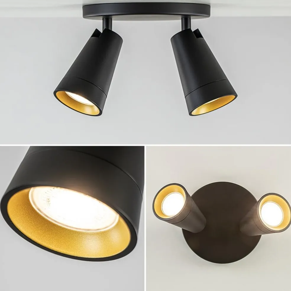 Plafondspot Petunia 2L rond zwart/goud