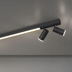 Plafondspot Pure Lines antraciet smart