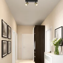 Plafondspot Razza 2L zwart/goud