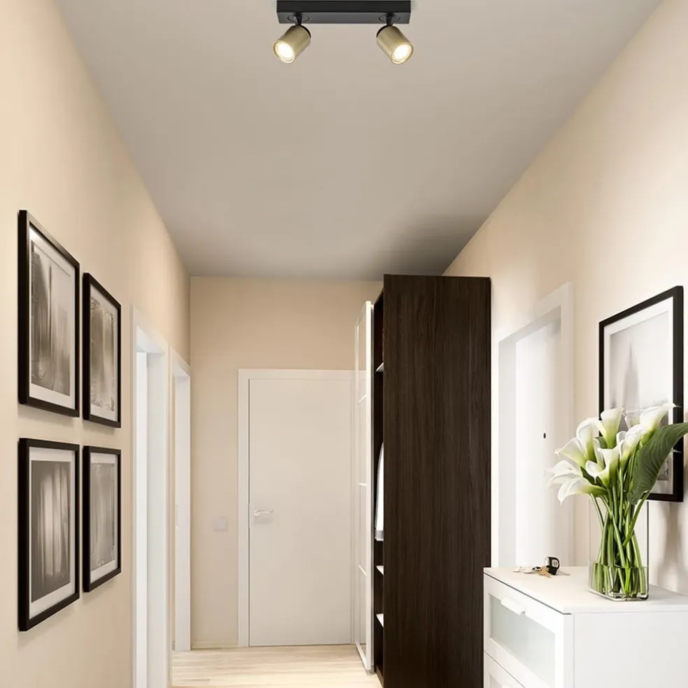 Plafondspot Razza 2L zwart/goud