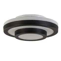 Plafonnière Master zwart+opaal glas IP44