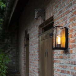 Rechthoekige buitenlamp zwart met houtlook en glas