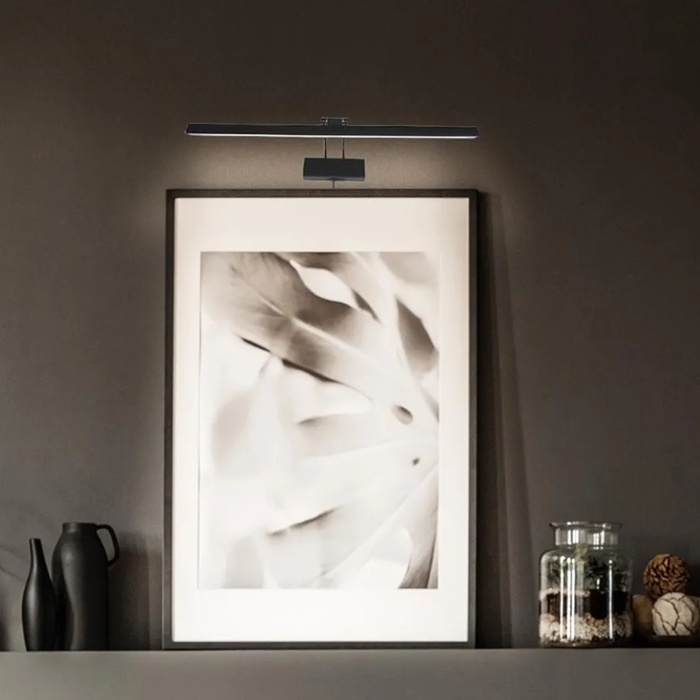 Schilderijlamp Litho zwart 60cm+dim.cct