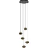 Sfeervolle 5-lichts hanglamp zwart/champagne inclusief LED