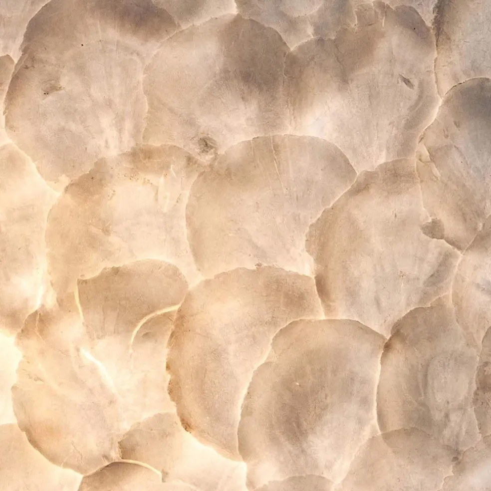 Sfeervolle wandlamp creme schelpen kamer