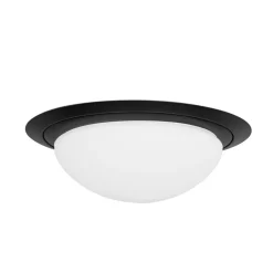 Strak klassieke LED plafonnière zwart inclusief LED