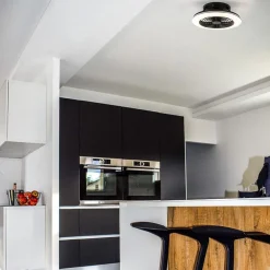 Ventilator Alisio Mini zwart met remote