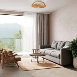 Ventilator Himalaya Mini hout remote cct