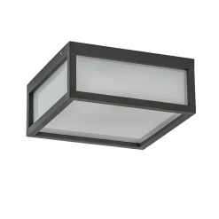 Vierkante buitenlamp dark grey plafond/wand