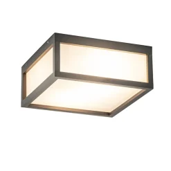 Vierkante buitenlamp dark grey plafond/wand